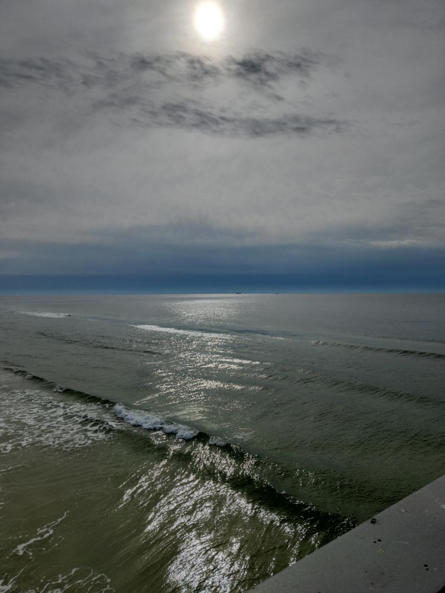 Flamingo Motel Ocean City Esterno foto