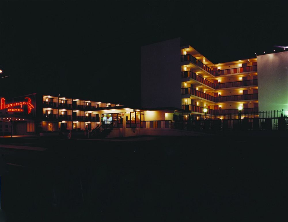 Flamingo Motel Ocean City Esterno foto
